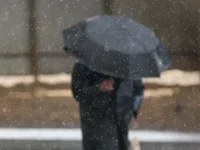 czentr pogody fobos obeshhaet teploe nachalo nedeli v moskve-lavi-su-174763342100-0