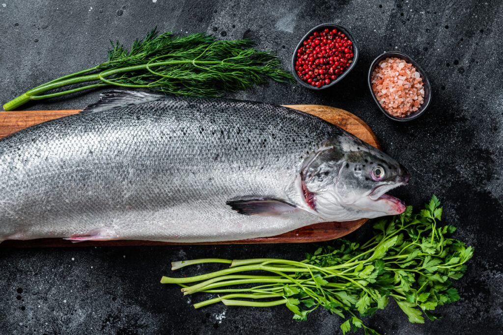 дикий лосось