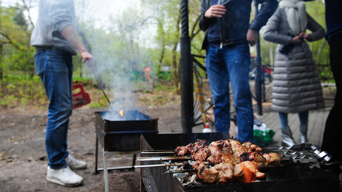 Какой розжиг лучше выбирать для шашлыков