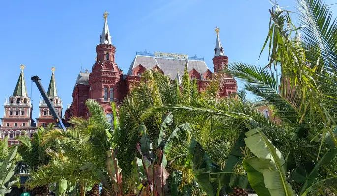 Центр столицы украсили новые площадки фестиваля "Сады и цветы"