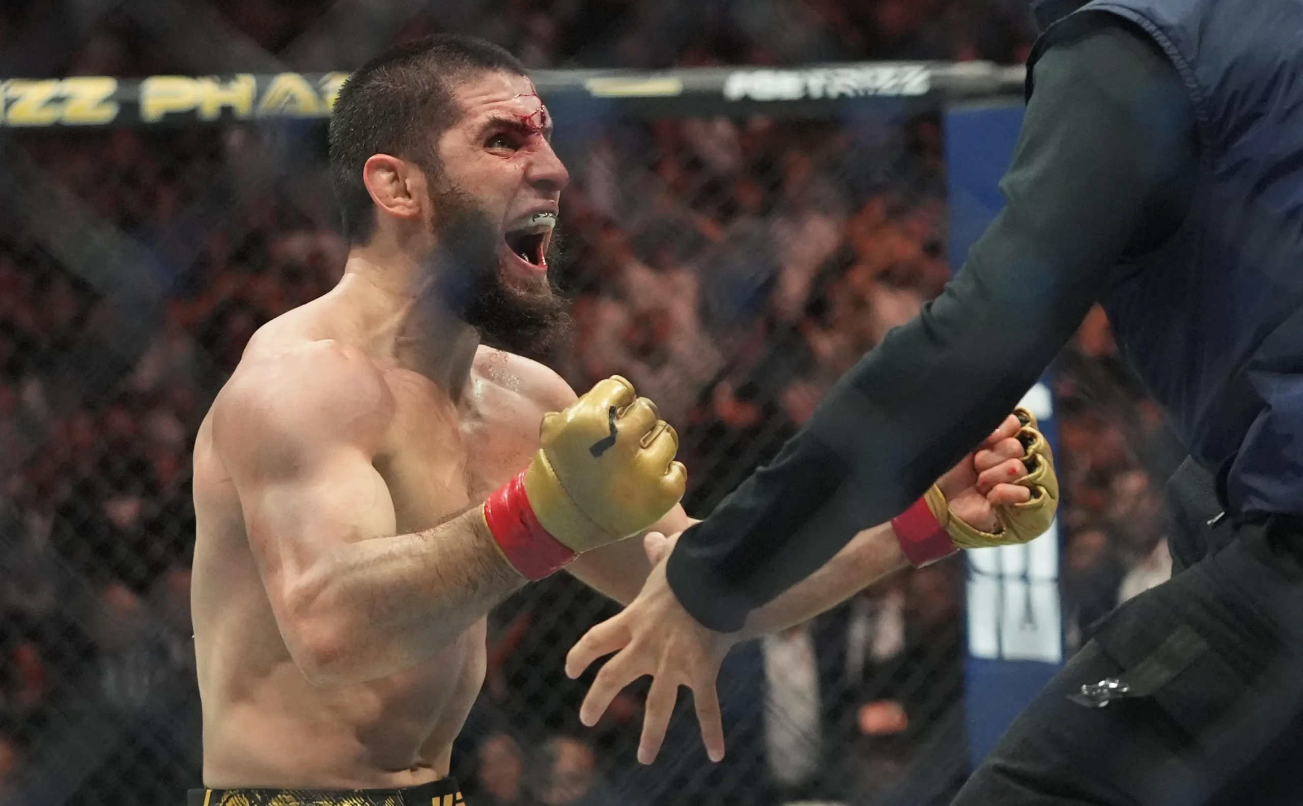 Ислам Махачев (ТАСС)