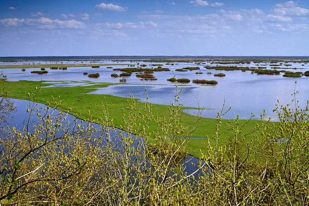 Вводная картинка