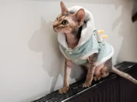 Марина Рубенкова делится советами по отоплению квартиры без обогрева marina rubenkova delitsya sovetami po otopleniyu kvartiry bez obogreva-lavi-su-174705555000-0