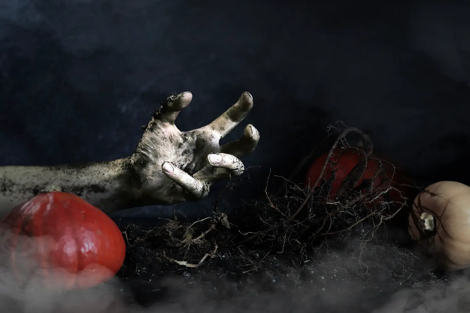 Мария Комбарова и Анастасия Зорина обсуждают научные аспекты The Last of Us-0