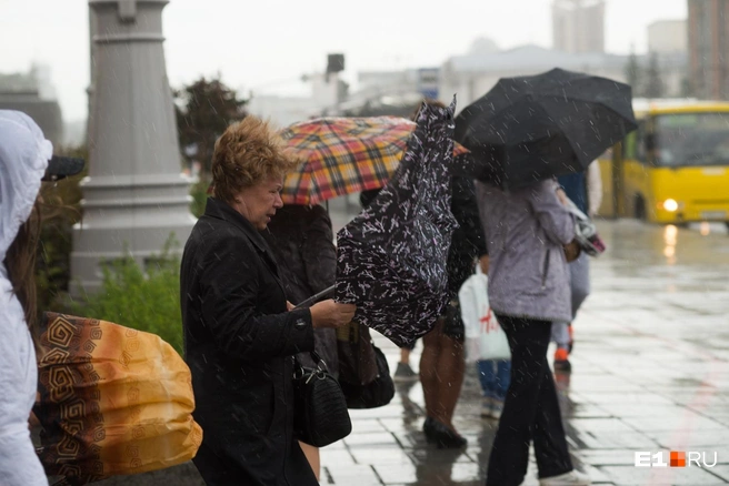 В прошлый раз сильный ветер накрыл Москву и область в середине марта | Источник: Артём Устюжанин / E1.RU