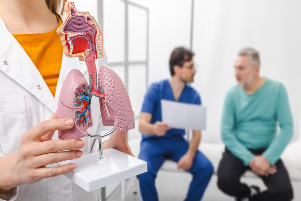 модель легких человека