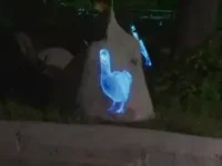 moskovskij zoopark predstavlyaet vozvrashhenie dodo i novyh pernatyh druzej-lavi-su-174866400000-0