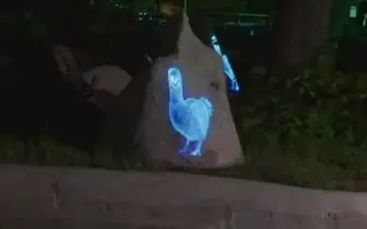 Вымершую птицу Додо «воскресили» в Московском зоопарке