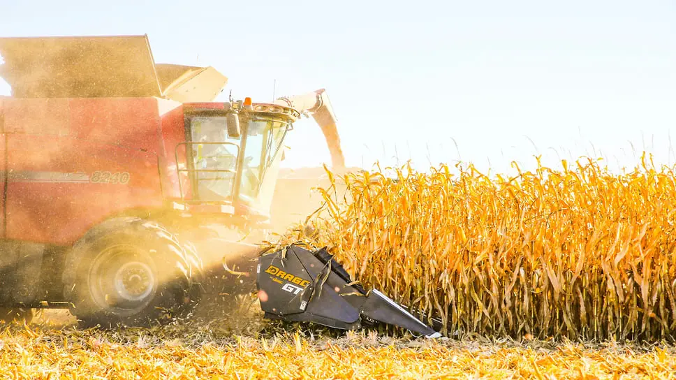 Зерновая пыль может взорваться, если пренебречь безопасностью