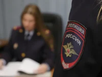 pskovskaya policziya sovmestno s zoozashhitoj spasli koshek na prospekte entuziastov-lavi-su-174793866400-0
