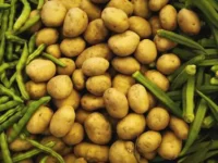 putin i geht obsudili partnyorstvo s belarusyu i rost ooo rusid-lavi-su-174827990000-0