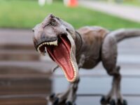 Мир динозавров, каким его не показывают в фильмах Резиновая игрушка динозавра