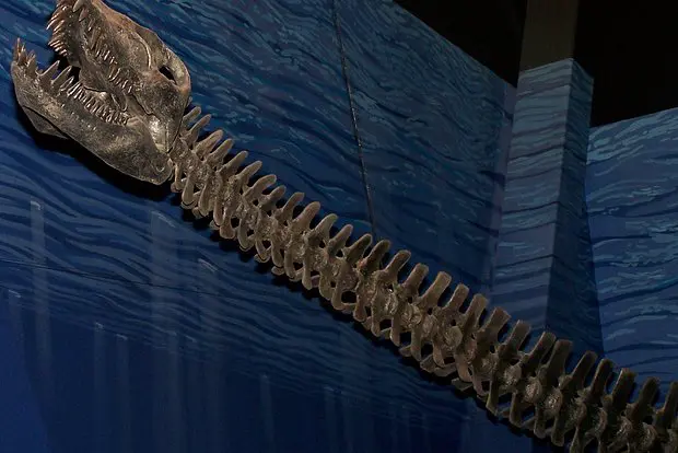 Архивное фото