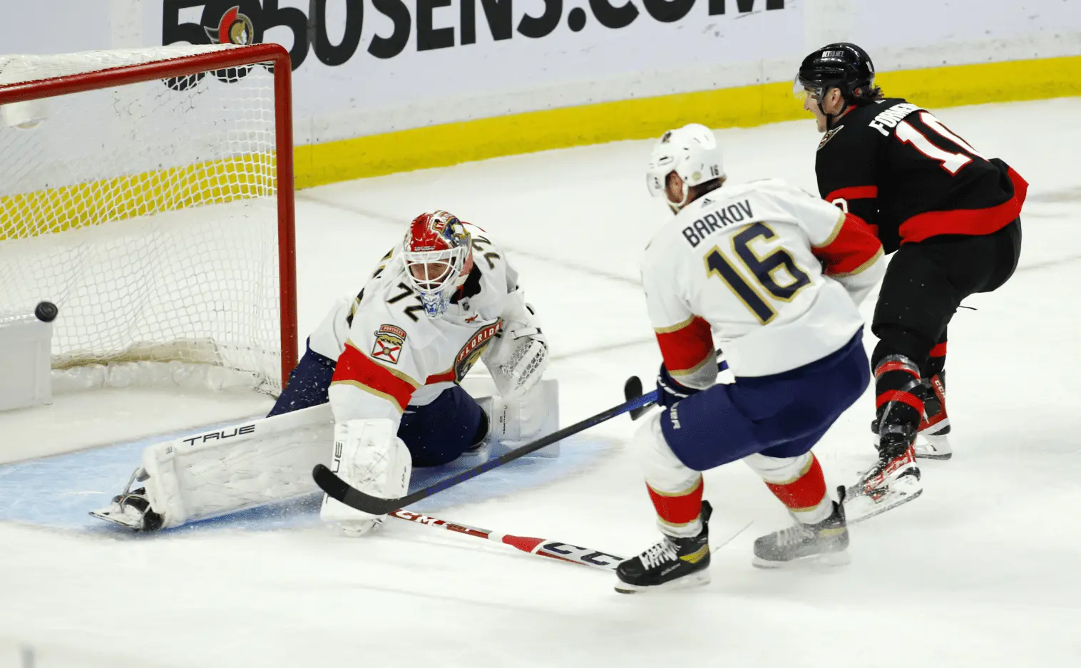 Сергей Бобровский (Patrick Doyle / Global look press)