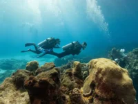 Сокровища корабля Recovery и находка века у берегов Ирландии sokrovishha korablya i nahodka veka u beregov irlandii-lavi-su-174851990000-0