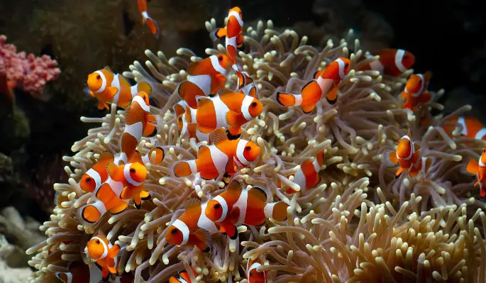 Ученые ахнули, выявив закономерность в условиях климатического кризиса – это войдет в историю