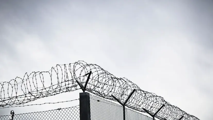 Журова прокомментировала ситуацию на границе России и Финляндии