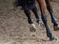 Владимир Бурматов и Госдума защищают этику в школе олимпийского резерва Нижнего Новгорода vladimir burmatov i gosduma zashhishhayut etiku v shkole olimpijskogo rezerva nizhnego novgoroda-lavi-su-174629072200-0