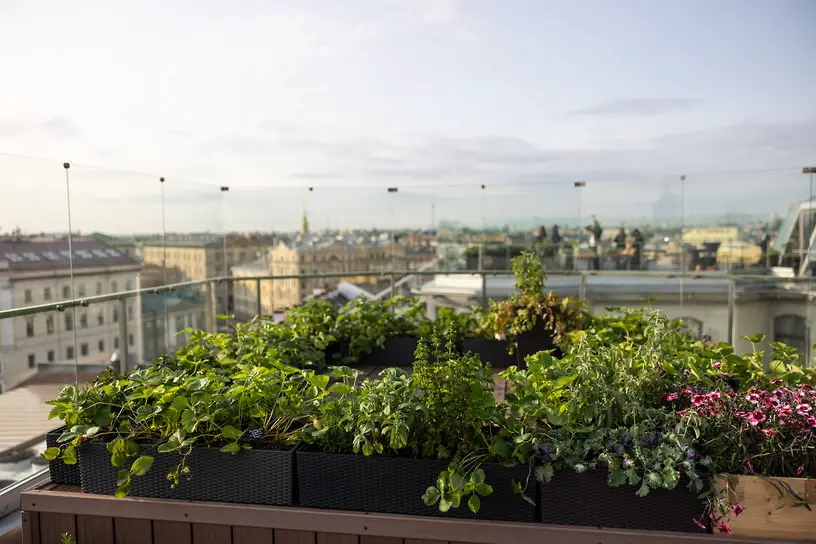 Гранд-отель «Мойка 22» в Санкт-Петербурге