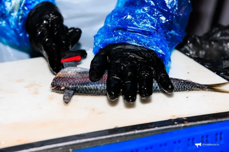 Разделка сельди Евгений Кулешов, ИА PrimaMedia