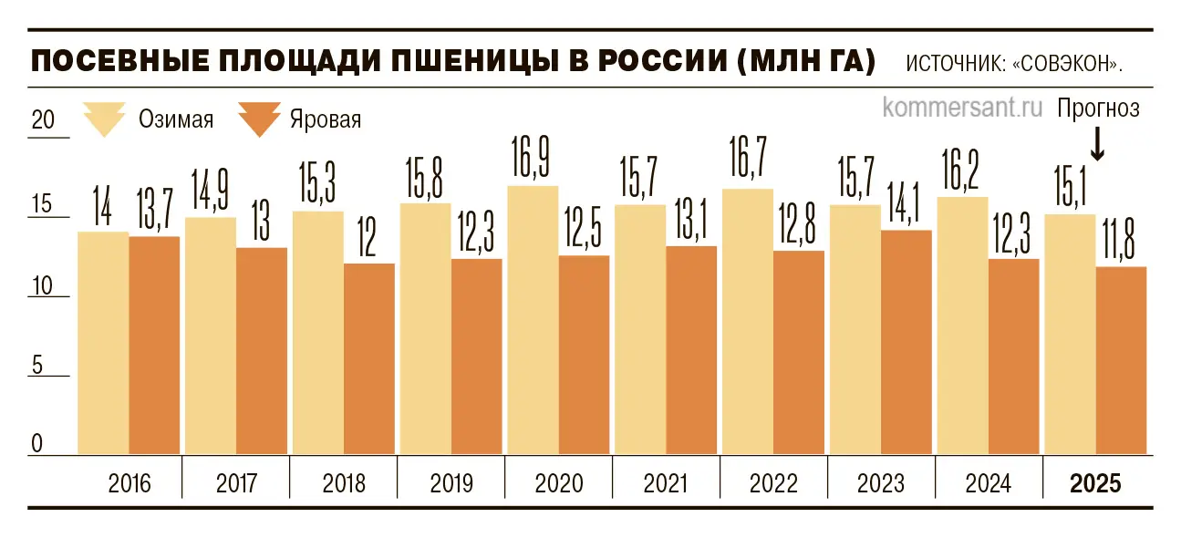 Институт конъюнктуры и Минсельхоз отмечают уверенный рост урожайности-0