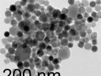 irina edelman i kollegi sozdali unikalnye nanostruktury s nauchnym proryvom-lavi-su-0
