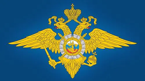 Невидимый фронт: МВД России успешно борется с кибермошенниками