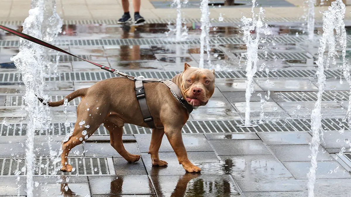Погода в Москве на 7 дней: с 2 по 8 июня