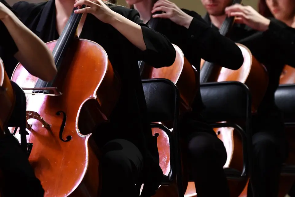 В Иране остаются 50 музыкантов Большого симфонического оркестра – это половина коллектива.