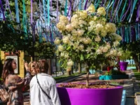 Шедевры Мэтью Чайлдса и цветочные сады у Российской государственной библиотеки shedevry metyu chajldsa i czvetochnye sady u rossijskoj gosudarstvennoj biblioteki-lavi-su-174876074000-0