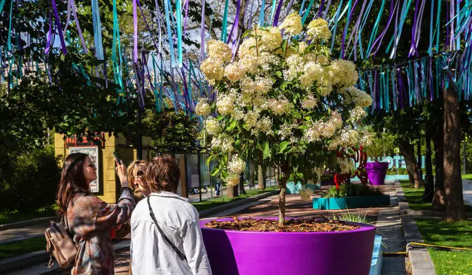 Какие проекты можно посмотреть на фестивале "Цветочный джем"