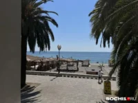 v abhazii i suhum ozhidaetsya volna turizma s  i biblioglobus-lavi-su-0