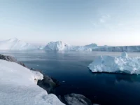 ААНИИ раскрывает тайны острова Вильчека и мыса Желания с находками древних китов aanii raskryvaet tajny ostrova vilcheka i mysa zhelaniya s nahodkami drevnih kitov-lavi-su-0