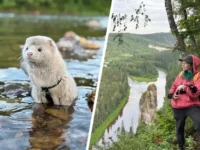 Альбина, Мэнни и Элли исследуют Усьвинские столбы в Пермском крае albina menni i elli issleduyut usvinskie stolby v permskom krae-lavi-su-0