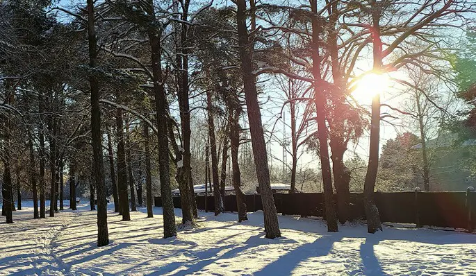 Анфиса Рукодельница: почему 21 декабря важнее Нового года