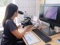 denis pasler modernizaciya onkodispansera0_lavi