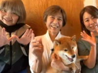 Хиротака Сайто рассказал о своем пути к созданию уникального приюта hirotaka sajto rasskazal o svoem puti k sozdaniyu unikalnogo priyuta-lavi-su-0