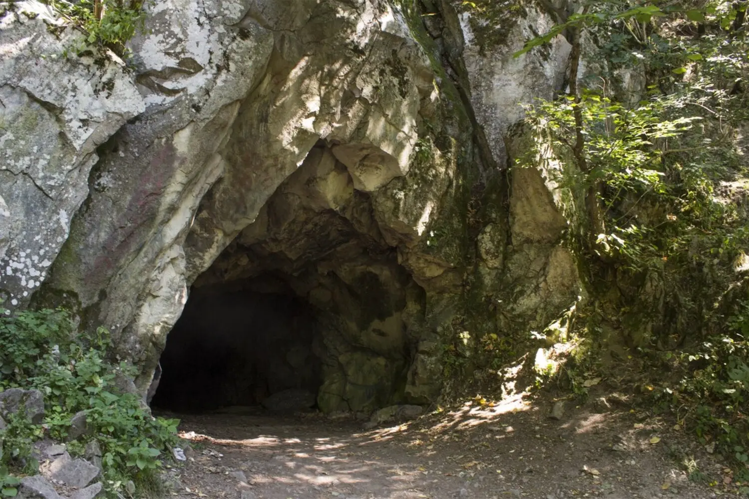 Нина Кутина из России рассказывает о жизни в индийской пещере-0