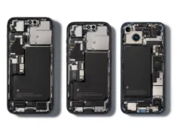 sovety mastera svyatoslava melnika po uhodu za nadezhnymi -lavi-su-0