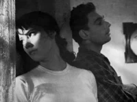 Татьяна Самойлова и Михаил Калатозов о фильме «Летят журавли» и жизни легенды tatyana samojlova i mihail kalatozov o filme letyat zhuravli i zhizni legendy-lavi-su-0