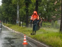 tropicheskaya depressiya prineset osadki v hasanskij rajon i vladivostok po dannym primgidrometa-lavi-su-0