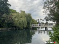 Аида Минасян делится мнением о туристах из Сочи, Иркутска и Ярославля в Абхазии aida minasyan delitsya mneniem o turistah iz sochi irkutska i yaroslavlya v abhazii-lavi-su-0