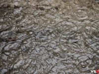 Джуно и Ледник Менденхолл проявили готовность к паводку перед саммитом России и США dzhuno i lednik mendenholl proyavili gotovnost k pavodku pered sammitom rossii i ssha-lavi-su-0