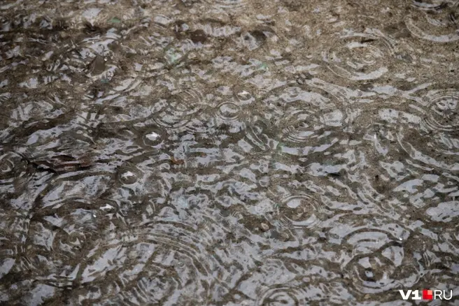 Вода прорывается из тающего ледника | Источник: Елена Буйвол / VLADIVOSTOK1.RU