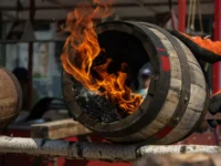 Эдуард Астапов и Золотая Балка открыли инновационную Лабораторию дуба eduard astapov i zolotaya balka otkryli innovaczionnuyu laboratoriyu duba-lavi-su-0