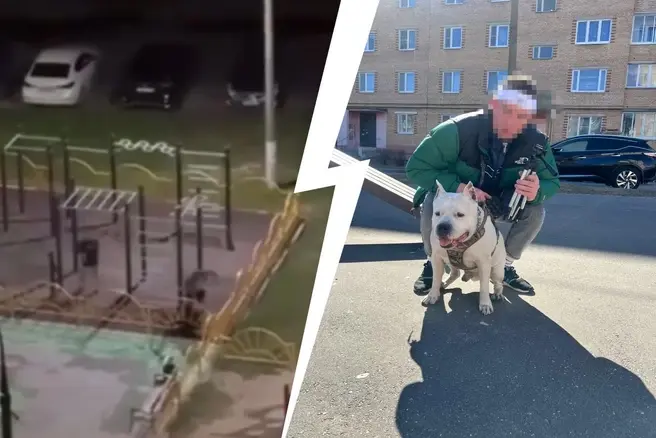 В подмосковной Шатуре треш-блогер жестоко избил девушку на детской площадке | Источник: Типичная Шатура (сила в правде) / T.me, личная страница блогера