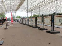 Легендарные собаки-герои на выставке в Музее «Г.О.Р.А.» Музея Победы legendarnye sobakigeroi na vystavke v muzee gora muzeya pobedy-lavi-su-0