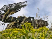 Минобороны сообщает об уничтожении «Нептун» и сотен БПЛА ВСУ minoborony soobshhaet ob unichtozhenii neptun i soten bpla vsu-lavi-su-0