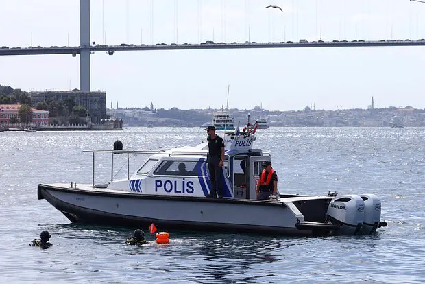 Вводная картинка