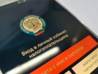 olga epifanova i fns rossii obyasnili osobennosti transportnyh lgot dlya grazhdan-lavi-su-0